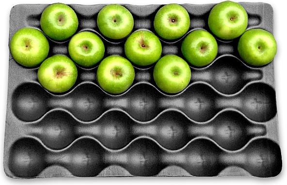 Molded Pulp Apple Tray