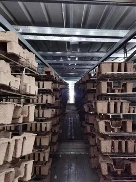 Steigerung der Kapazität für Formzellstoff: Georgia-Pacifics 91-Millionen-Dol...